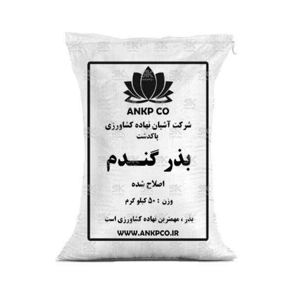بذر گندم